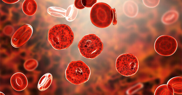 BLOOD ANALYSIS - MYPHAGES