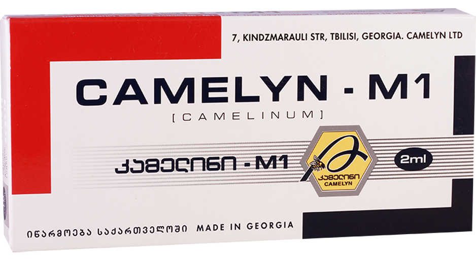 “Camelyn-M1” has immunomodulatory activity, strengthens humoral and cellular immunity.