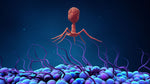 Load image into Gallery viewer, PERSONALIZED BACTERIOPHAGES - MYPHAGES

